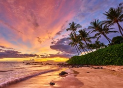 Wyspa Maui