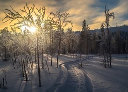 Wzgórza Ruka w Finlandii zimą