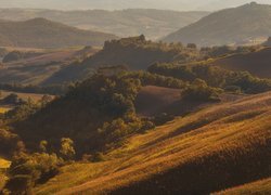 Wzgórza w Toskanii jesienią