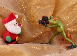Żaba robiąca zdjęcie Mikołajowi