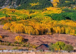 Zabudowania na przełęczy Kebler Pass w Kolorado