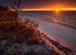 Plaża, Morze Bałtyckie, Zachód słońca, Rośliny, Polska