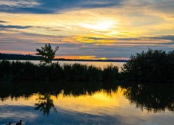 Jezioro Balaton, Zachód słońca, Krzewy, Trawa, Węgry