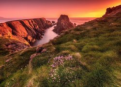 Zachód słońca, Morze, Skały, Łąka, Kwiaty, Trawy, Hrabstwo Donegal, Przylądek Malin Head, Irlandia