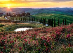Zachód słońca nad zielonymi wzgórzami Toskanii