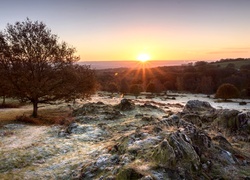 Zachodzące słońce nad wzgórzami Beacon Hill w Woodhouse w hrabstwie Leicestershire