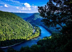 Lasy, Góry, Rzeka, New River, Wirginia Zachodnia, Stany Zjednoczone