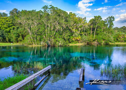 Zalany pomost nad jeziorem Parku Stanowym Rainbow Springs na Florydzie