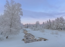 Zamarznięta rzeka w leśnym zimowym krajobrazie