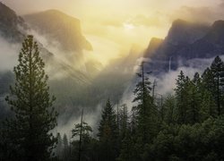 Zamglona dolina Yosemite Valley