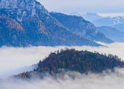 Zamglone drzewa i góry jesienią