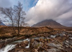 Szkocja, Region Highland, Grampiany, Pasmo Glencoe, Szczyt Buachaille Etive Mor, Chmury, Potok, Skały Góry, Drzewo