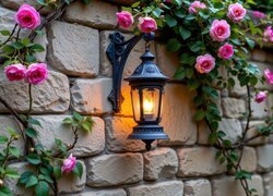 Murowana, Ściana, Kwiaty, Róże, Lampa