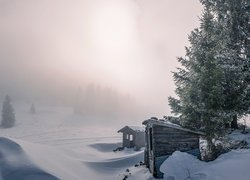 Zima, Śnieg, Drzewa, Budki, Mgła