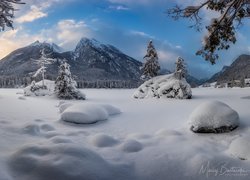 Zima, Góry, Alpy, Drzewa, Zaśnieżone, Jezioro Hintersee, Gmina Berchtesgaden, Bawaria, Niemcy