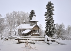 Zima, Kościół, Zaśnieżone, Drzewa
