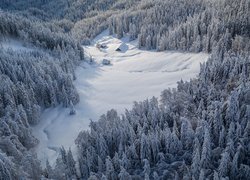 Zasypane śniegiem domy na leśnej polanie