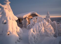 Zasypane śniegiem drzewa i drewniany dom