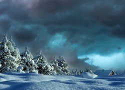 Zasypany śniegiem dom i drzewa pod ciemnymi chmurami