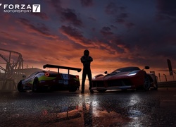 Gra, Forza Motorsport 7, Samochody, Wyścigowe, Zawodnik