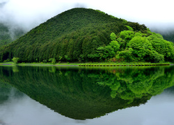 Zieleń odbijająca się w jeziorze Tanuki w Japonii