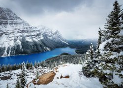 Zima w Parku Narodowym Banff w Kanadzie