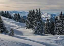 Zima w szwajcarskich górach