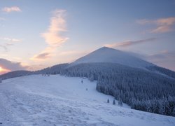 Góry Karpaty, Zima, Las, Wschód słońca, Chmury, Ukraina