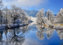 Zimowe drzewa nad rzeką Loisach w Bawarii