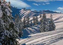 Zimowy krajobraz ośrodka Hoch-Ybrig w Szwajcarii