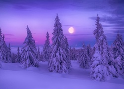 Zimowy krajobraz z księżycem w tle