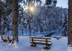 Zimowy park z rzeczką i ławkami o wschodzie słońca