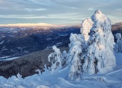 Zimowy poranek w czeskich górach Jesioniki