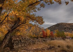 Zniszczony kamienny murek pod jesiennymi drzewami