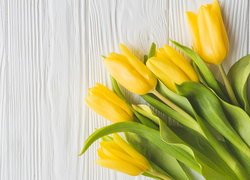 Żółte, Tulipany, Deski