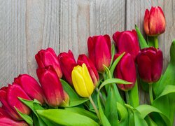 Żółty tulipan wśród czerwonych na deskach